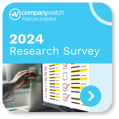 market research survey 2024 business information